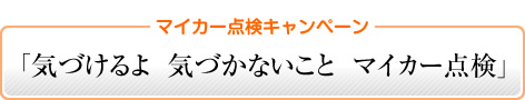 �u�_���Ō��C�����ς� �킽���̎ԁv